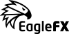 Eaglefx Logo Black 100x49.png